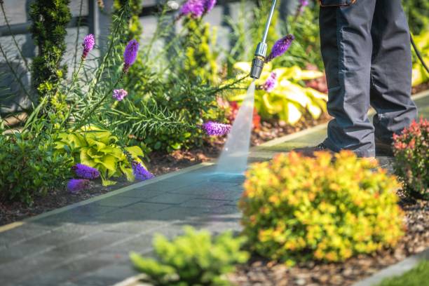 Trusted Fort Wayne, IN Pressure Washing Services Experts