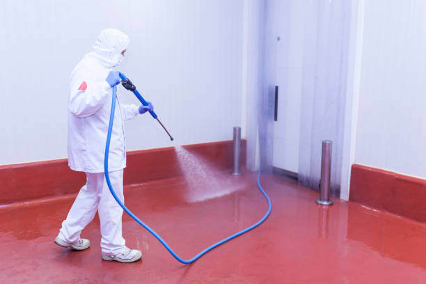 Best Pre-Holiday Cleaning  in Fort Wayne, IN